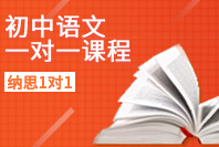 纳思书院初中语文一对一定制课程